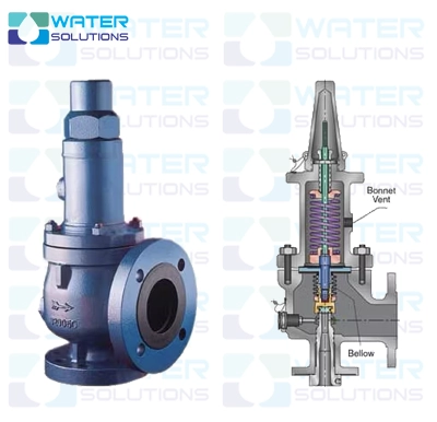 شیر با بلوز متعادل
