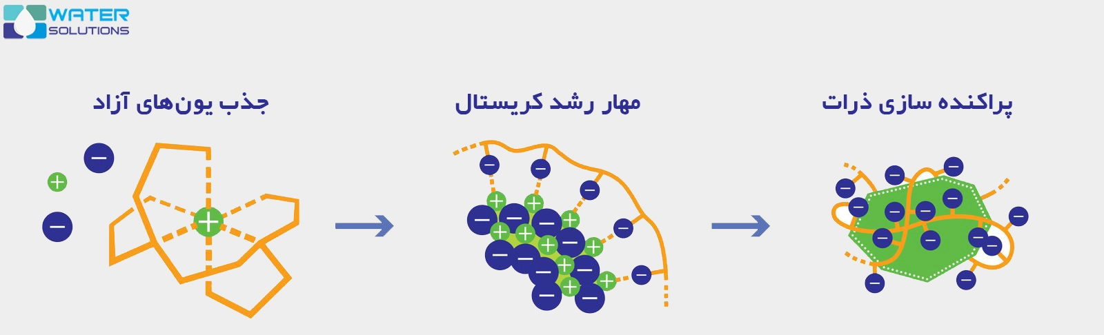 مکانیزم عملکرد آنتی اسکالانت